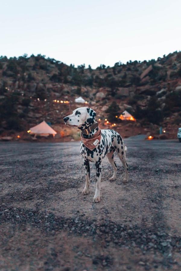 Hotel Zion Glamping Adventures Hildale Exterior foto